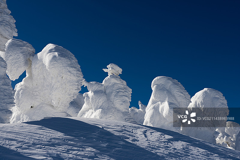 日本藏王山顶雾凇，山形县图片素材