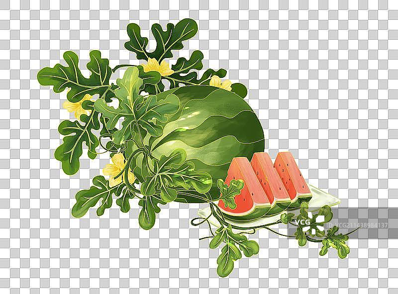 夏日节气清凉西瓜插画图片素材