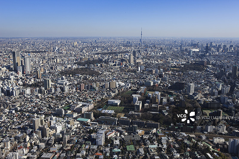 从西侧拍摄的目白站鸟瞰图，丰岛区，东京图片素材