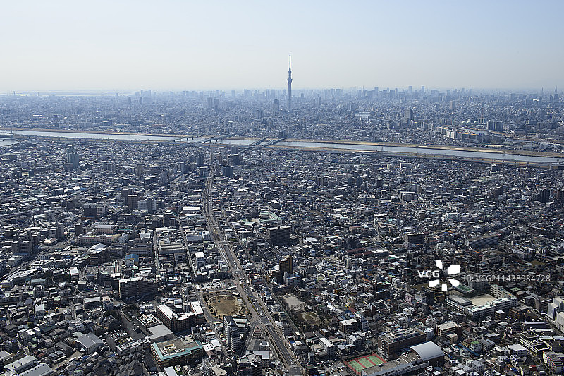 从东北侧看东京葛饰区小花茶屋车站和晴空塔图片素材