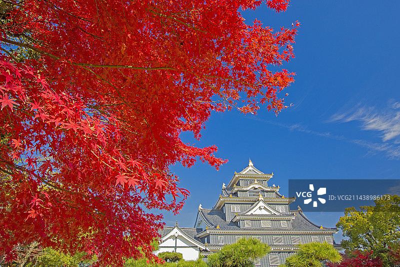 秋季的冈山城，日本冈山县冈山市图片素材