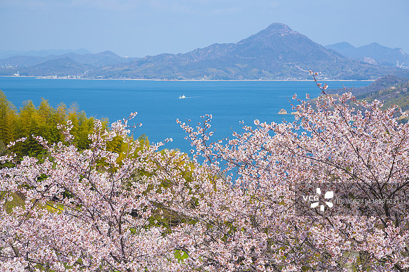 日本爱媛县今治、伊方岛波海道春景图片素材