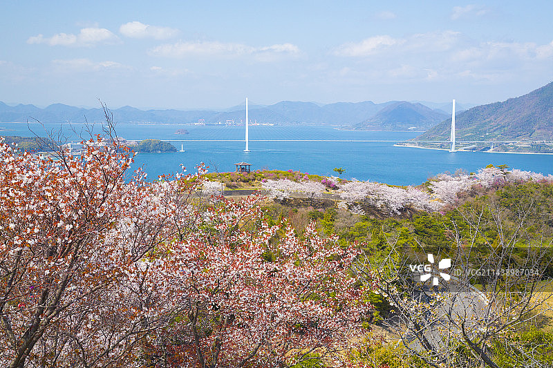 春天的多多罗大桥，日本爱媛县今治市伊方町图片素材