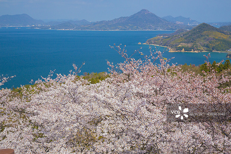 日本爱媛县今治、伊方岛波海道春景图片素材