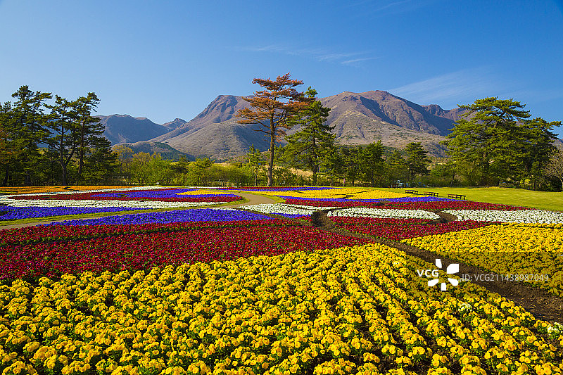 日本大分县竹田市久住花公园春景图片素材