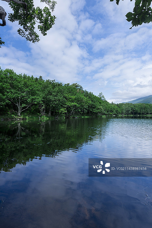 北海道斜里町知床五湖的蓝天倒影图片素材