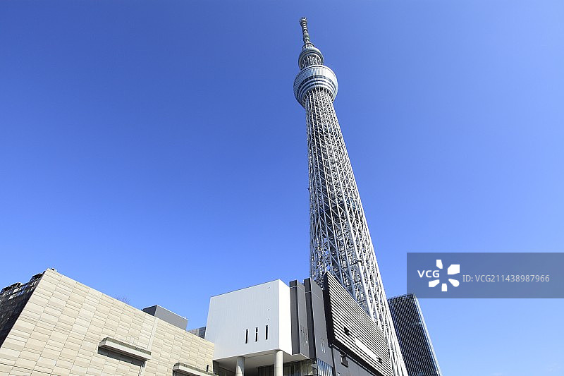 东京墨田区东京晴空塔图片素材