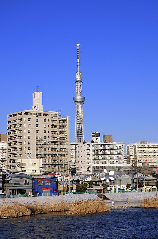 东京江户川区的旧中川与东京晴空塔图片素材