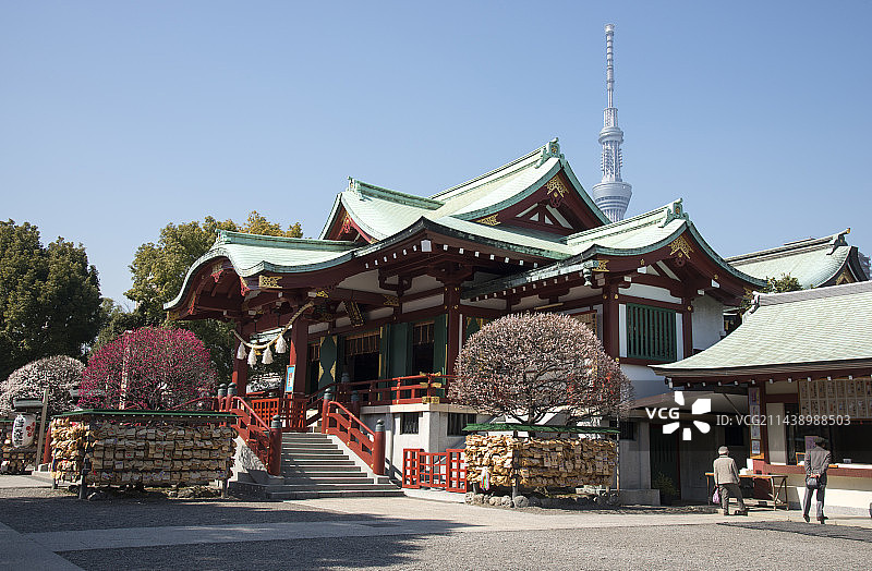 日本龟户天神社，东京江东区图片素材