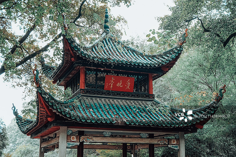 长沙 岳麓山 爱晚亭图片素材