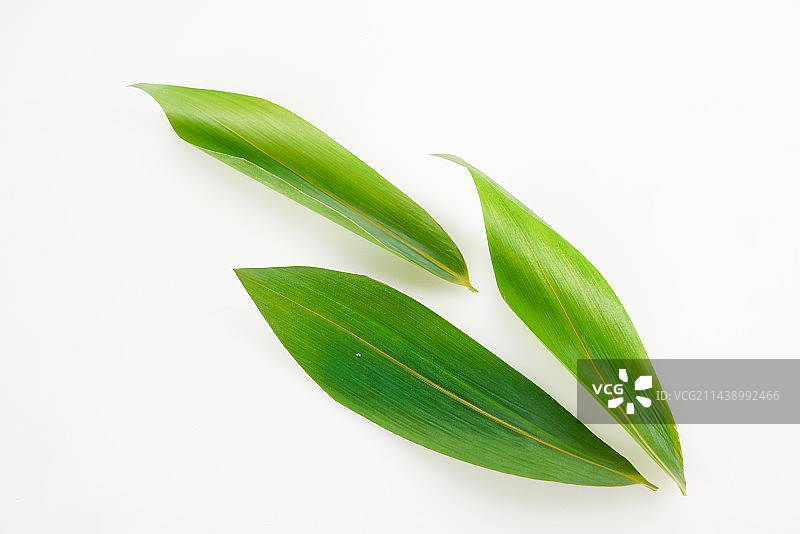 端午节粽叶叶子  端午节 粽叶 叶子 传统节日 节日 装饰 绿叶图片素材