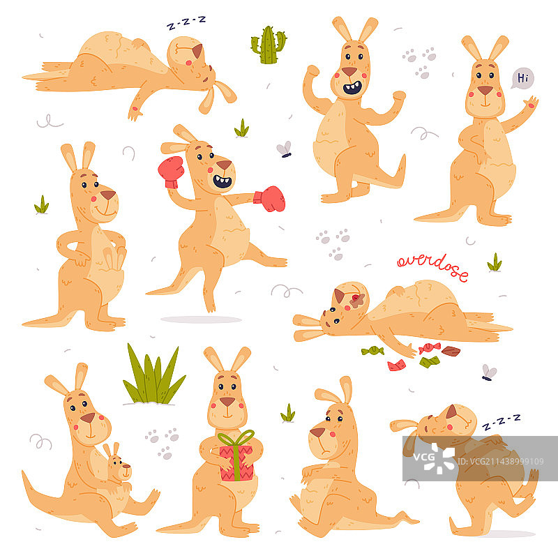 从事某种活动的袋鼠有袋动物幽默图片图片素材