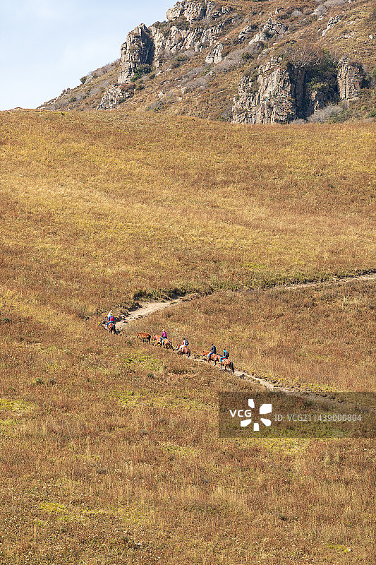 东灵山黄草马队山景风光图片素材