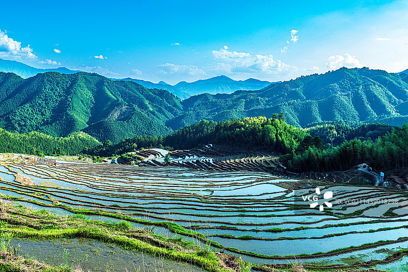 欧家梯田图片素材