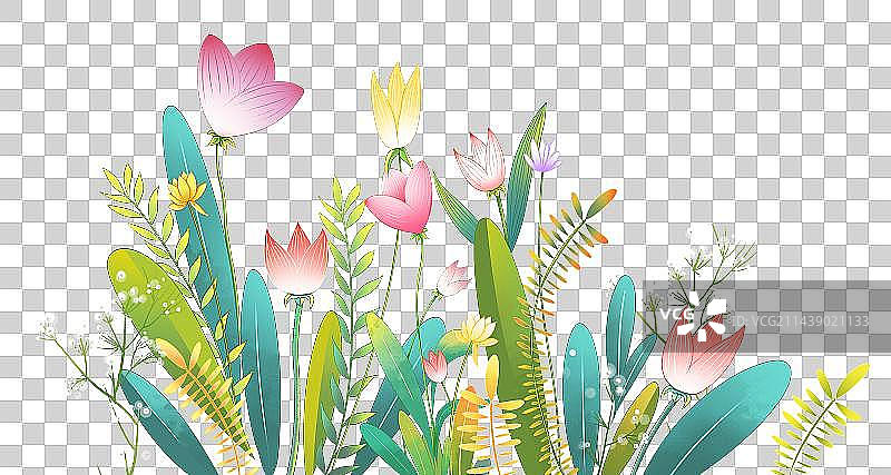 美丽的鲜花图片素材