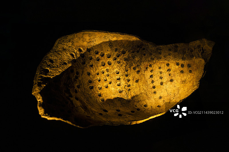 成都金沙遗址博物馆中国古代祭祀占卜用品龟甲图片素材