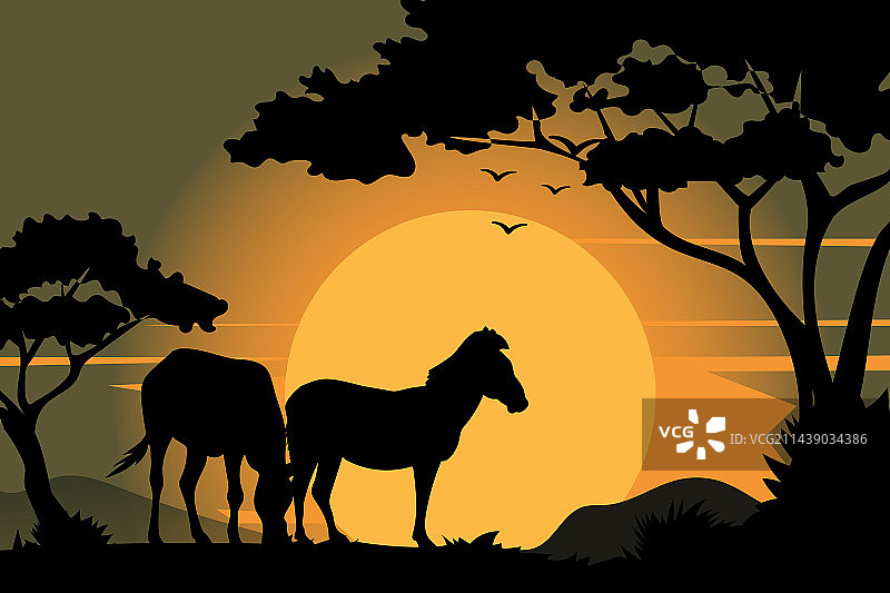 夕阳下的斑马剪影图片素材