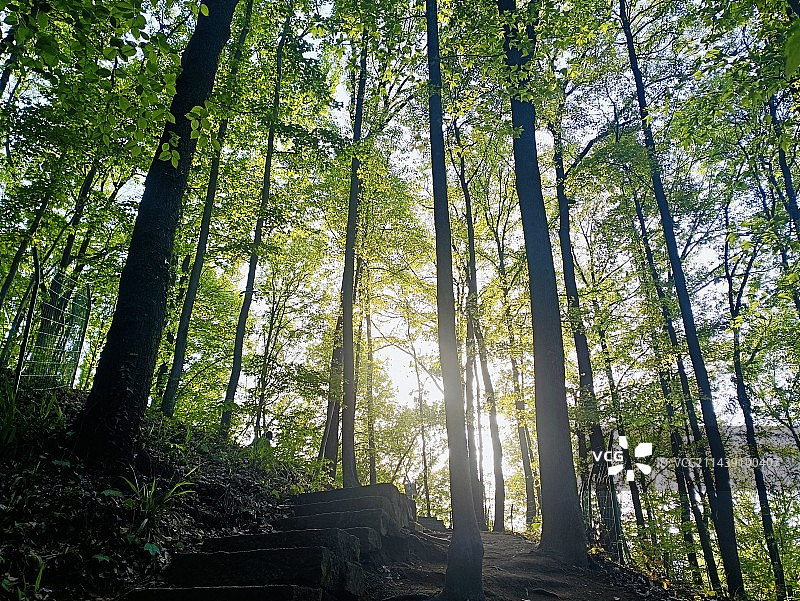 生机迸发图片素材