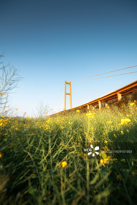 蓝天下的舟山西堠门大桥图片素材