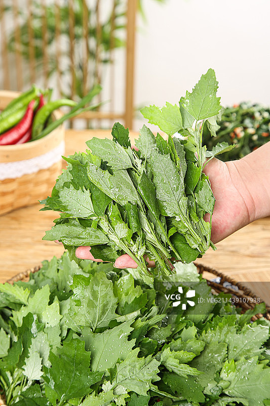 木底上的灰灰菜图片素材