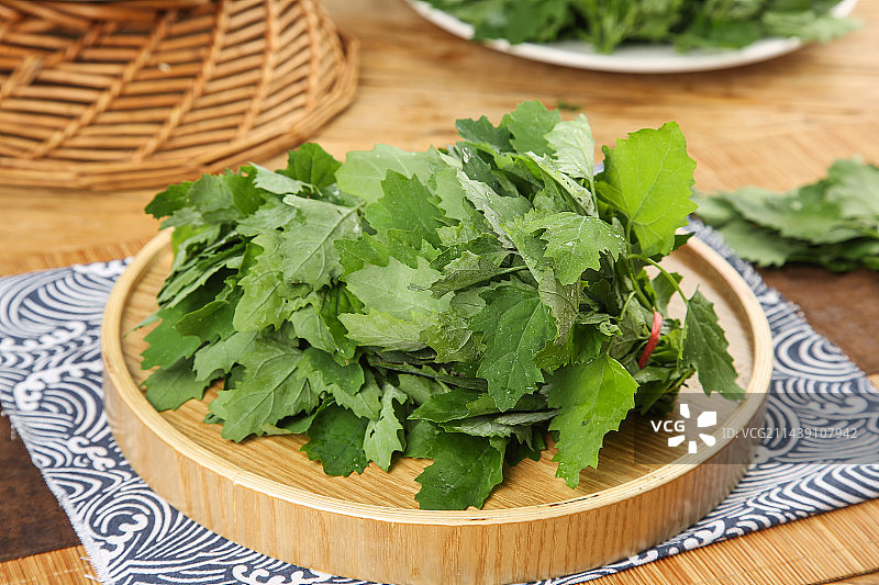 木底上的灰灰菜图片素材