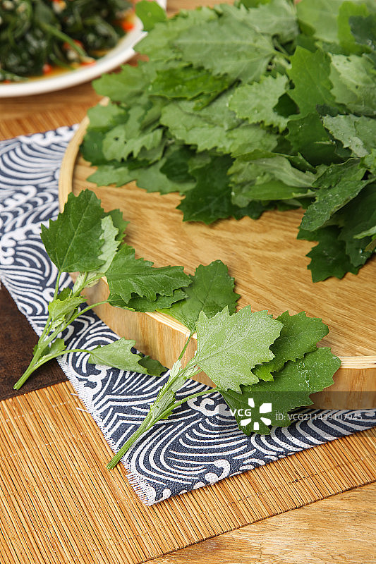 木底上的灰灰菜图片素材