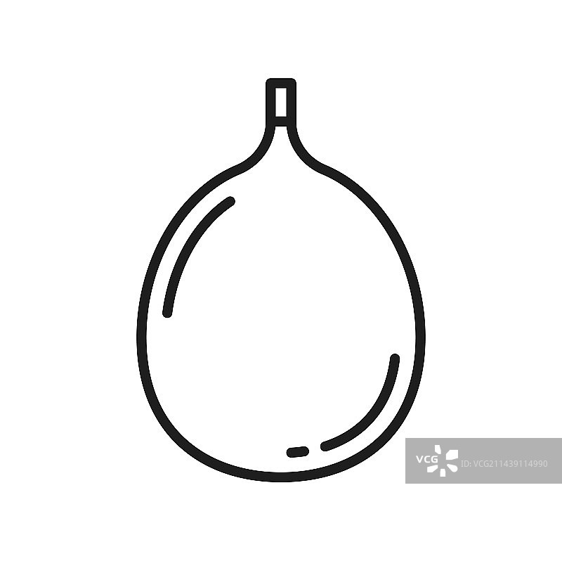 无花果热带水果线性图标图片素材