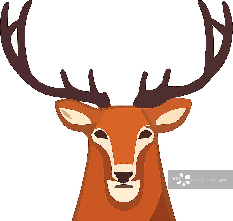 冬季森林里可爱的角公鹿图片素材