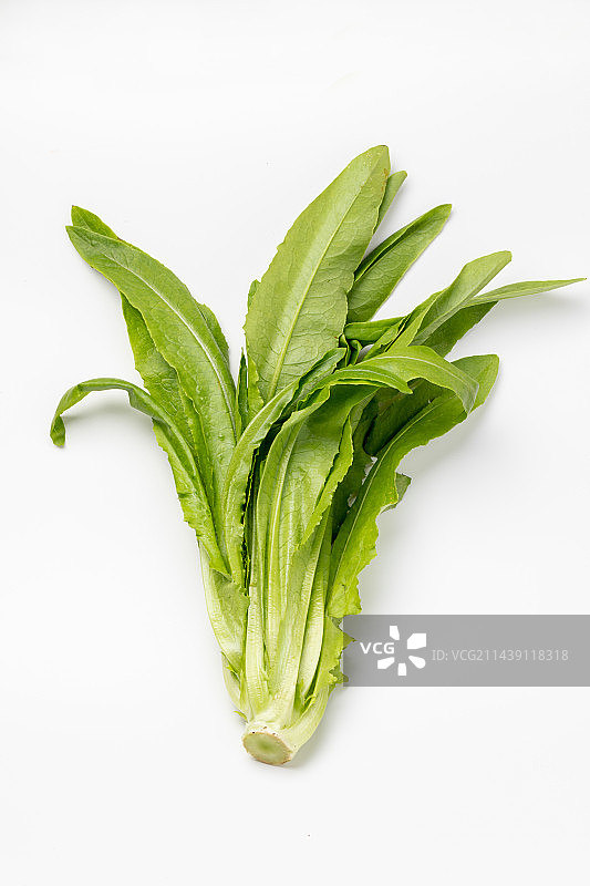 白色背景上的油麦菜图片素材