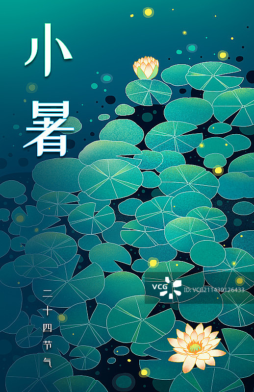 二十四节气小暑莲花荷花夏天植物图片素材