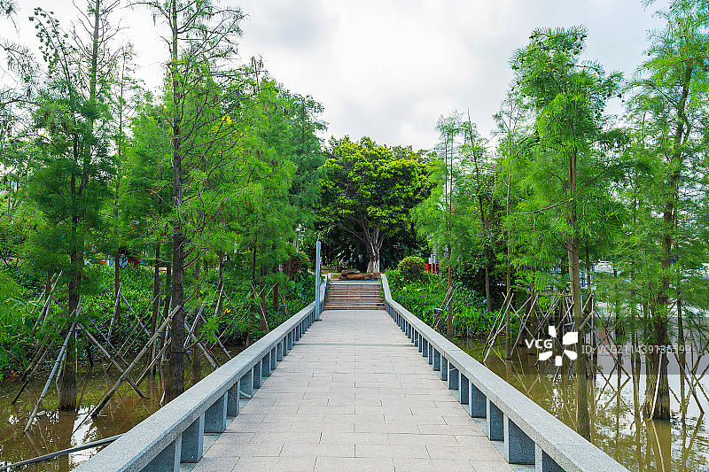 东莞市华阳湖，水上森林，走廊图片素材
