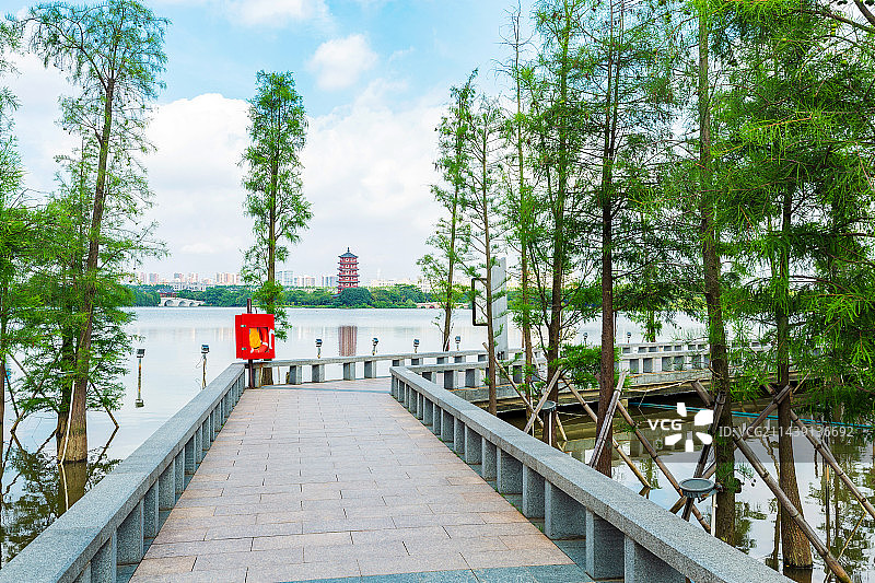 东莞市华阳湖，水上森林，走廊图片素材