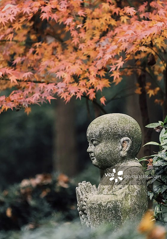 灵隐景区小沙弥图片素材