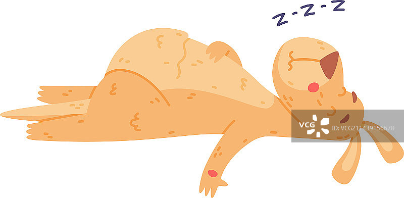 有趣的袋鼠有袋动物睡觉图片素材