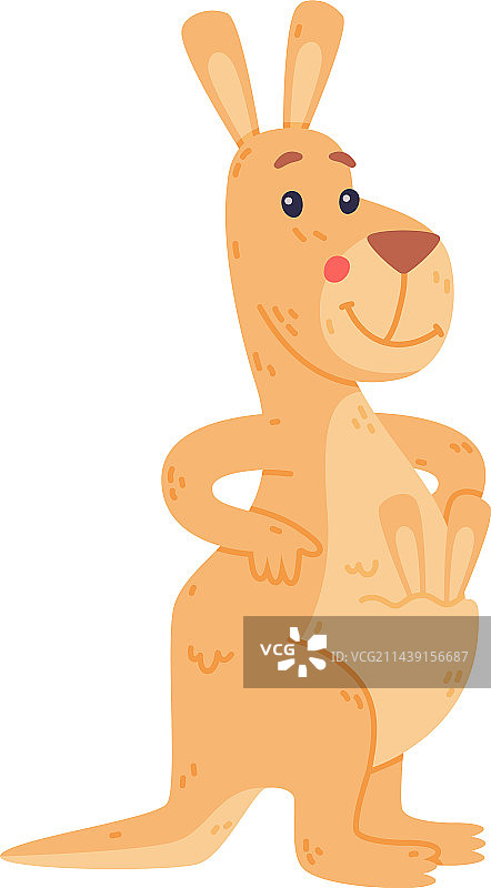 滑稽的袋鼠有宝宝的耳朵图片素材