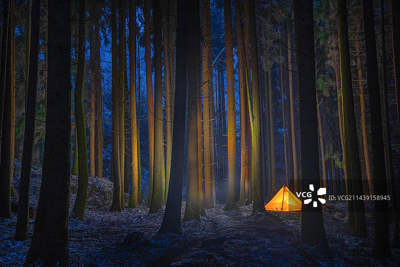 冬季雪地上树林里的亮灯帐篷图片素材