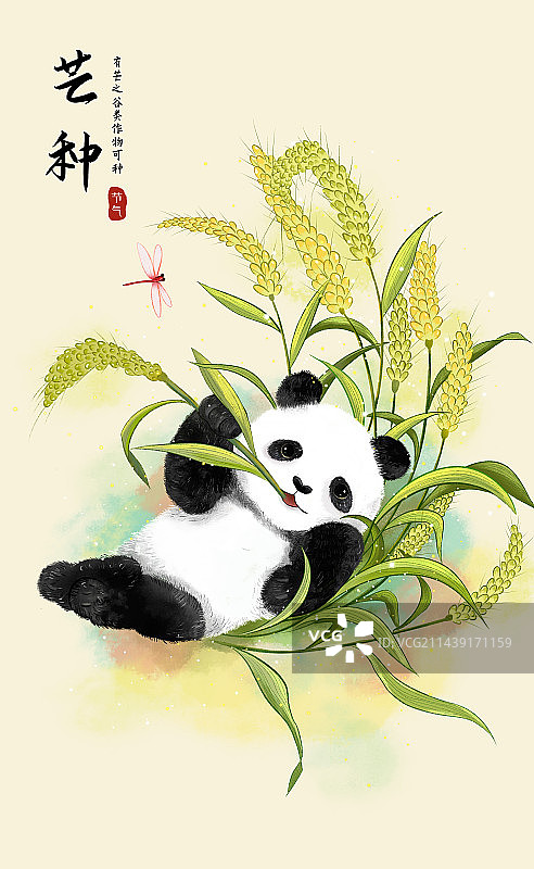 中国风成都大熊猫系列 -躺在麦田里吃麦穗的熊猫 二十四节气插画 台历插画海报模版图片素材