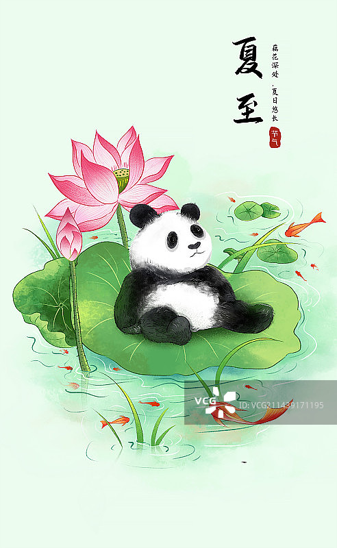 中国风成都大熊猫系列-躺在荷叶上乘凉的熊猫 二十四节气插画 台历插画海报模版图片素材