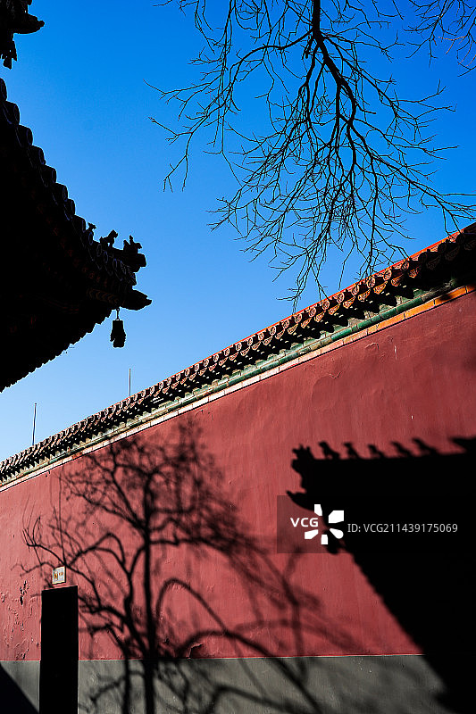 北京雍和宫宫殿红墙与树枝图片素材