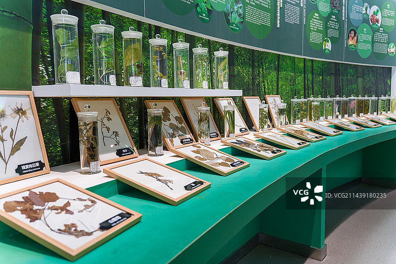 太原植物园图片素材