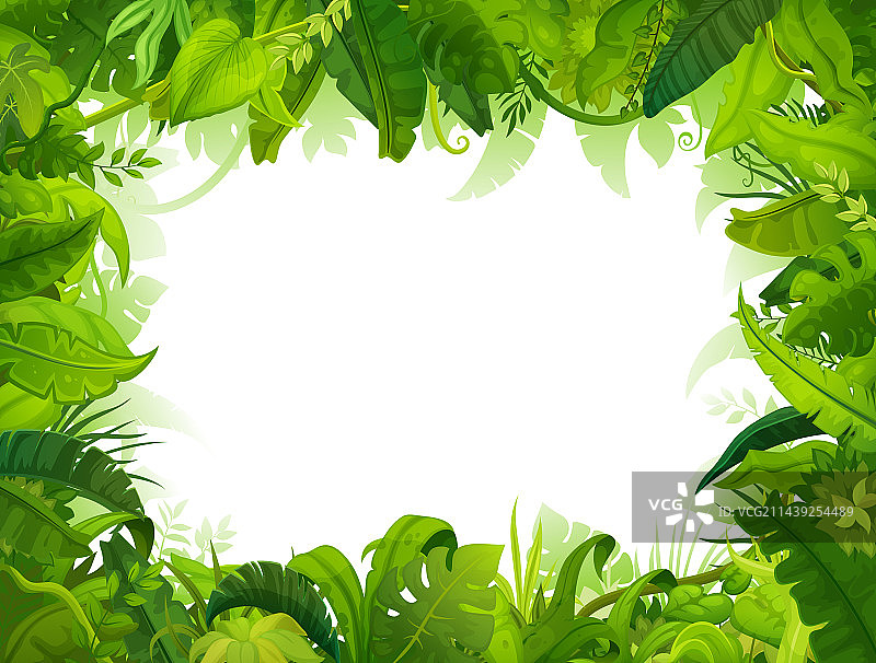 卡通丛林相框绿色棕榈叶背景图片素材