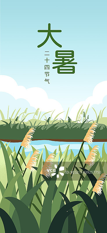 二十四节气插画海报之大暑图片素材