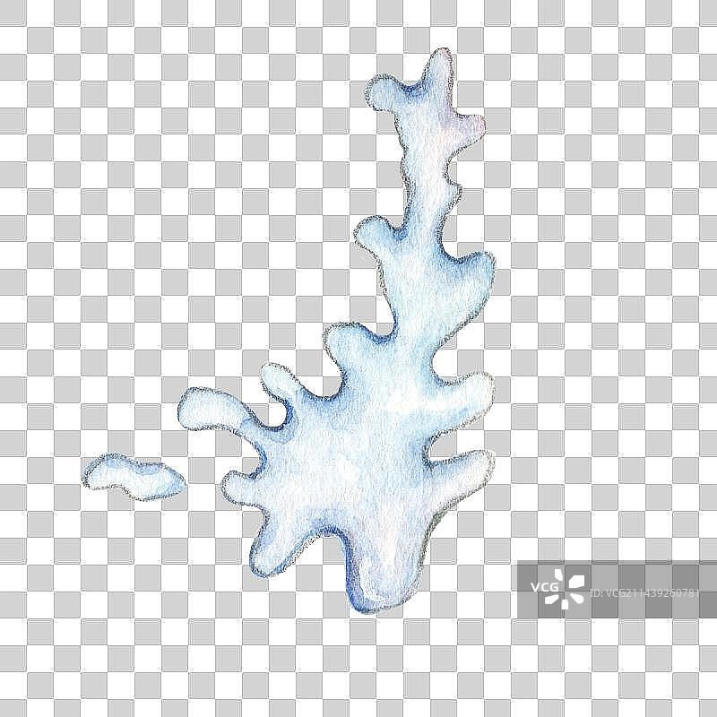 水彩手绘半透明玻璃光泽的珊瑚图片素材