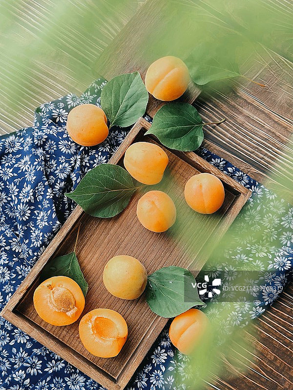 杏子的高视角拍摄图片素材