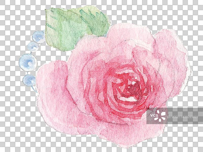 水彩手绘粉色月季小花一朵图片素材