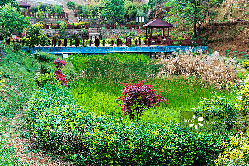 云南省玉溪市易门县小街乡街景图片素材