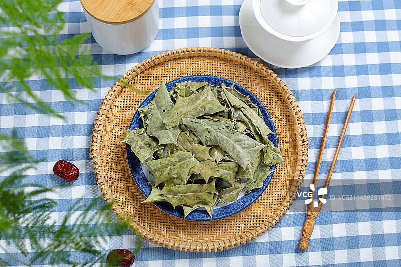 药用植物中医中草药材功劳叶图片素材