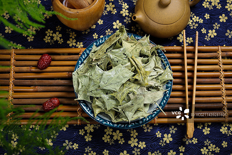 药用植物中草药材功劳叶图片素材