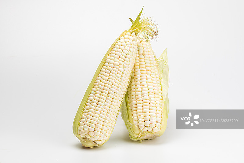 白色背景上的嫩糯玉米图片素材