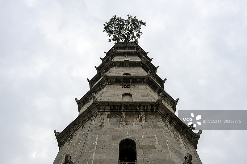 黄冈黄州安国寺青云塔朴树景点旅游城市风光图片素材